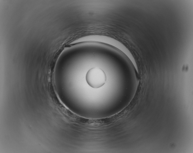 X0000111810368200907231240