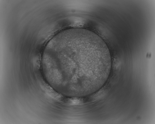 X0000111810370200907231240