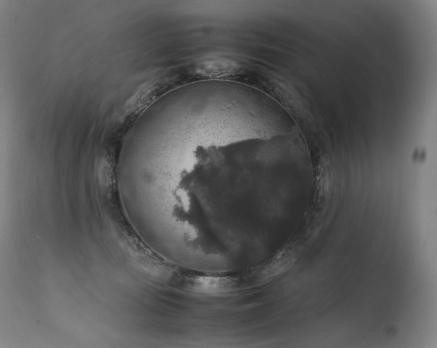 X0000111810371200907231240