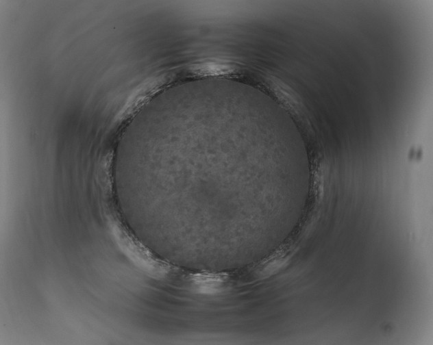 X0000111810373200907231240