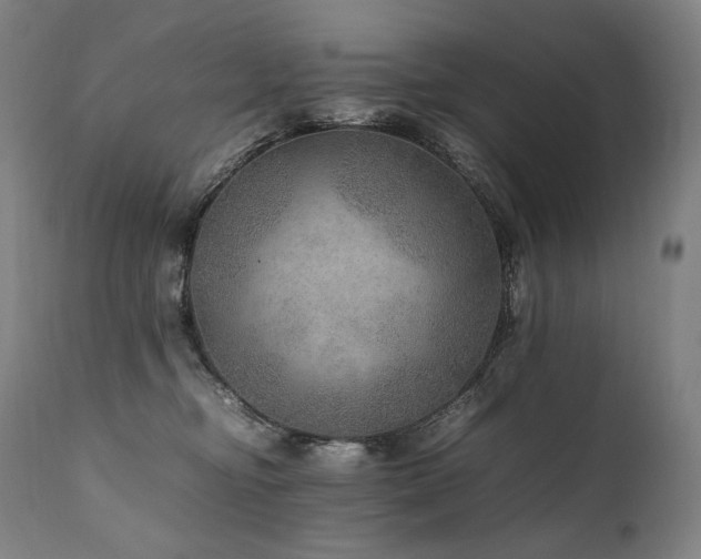 X0000111810374200907231240