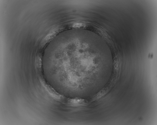 X0000111810375200907231240
