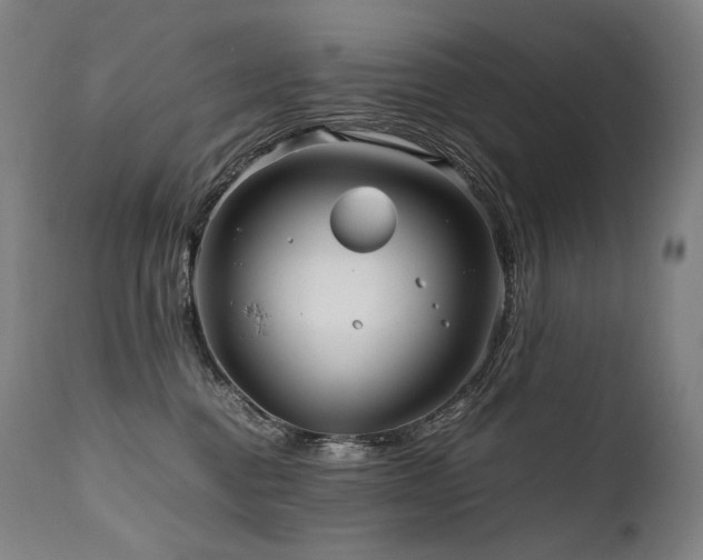 X0000111810376200907231240