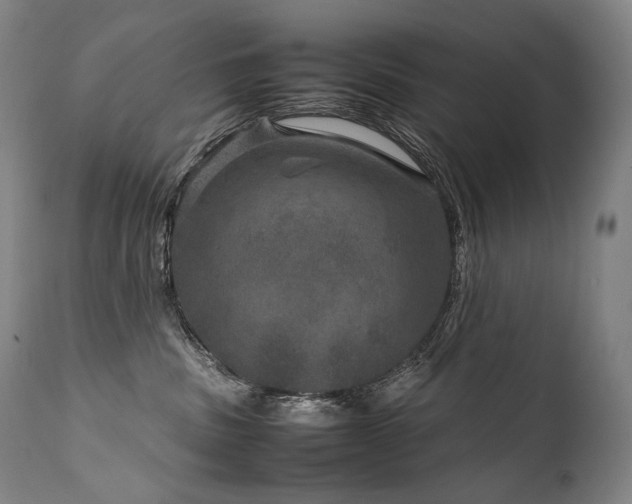 X0000111810379200907231240