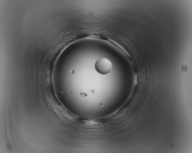 X0000111810380200907231240