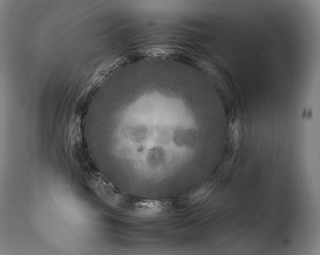 X0000111810381200907231240