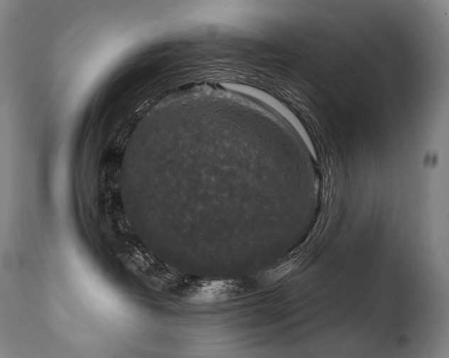 X0000111810382200907231240