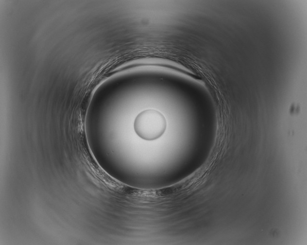 X0000111810384200907231240