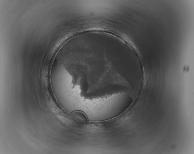 X0000111810386200907231239