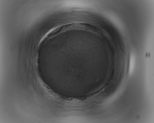 X0000111810387200907231239