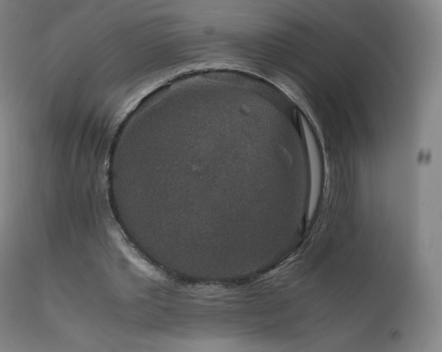 X0000111810389200907231239