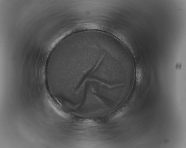 X0000111810390200907231239