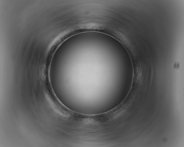 X0000111810392200907231239