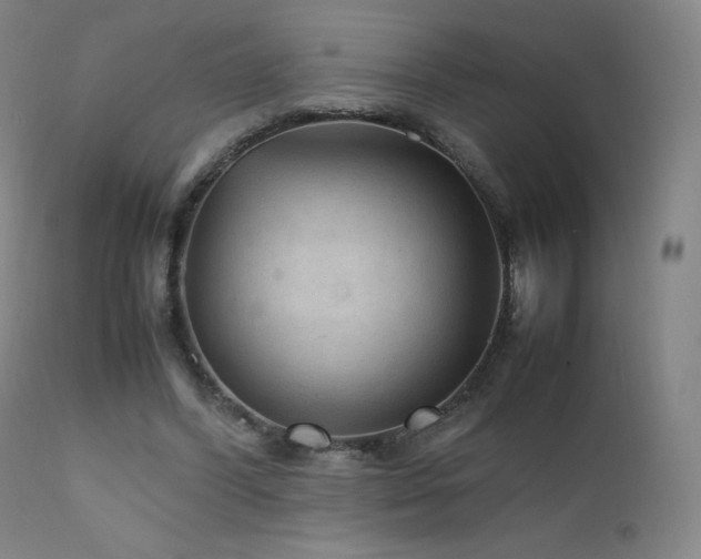 X0000111810396200907231239