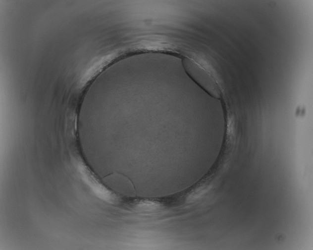 X0000111810397200907231239