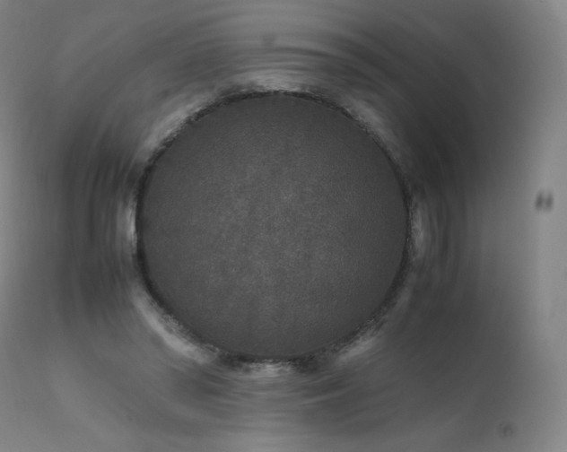 X0000111810398200907231239