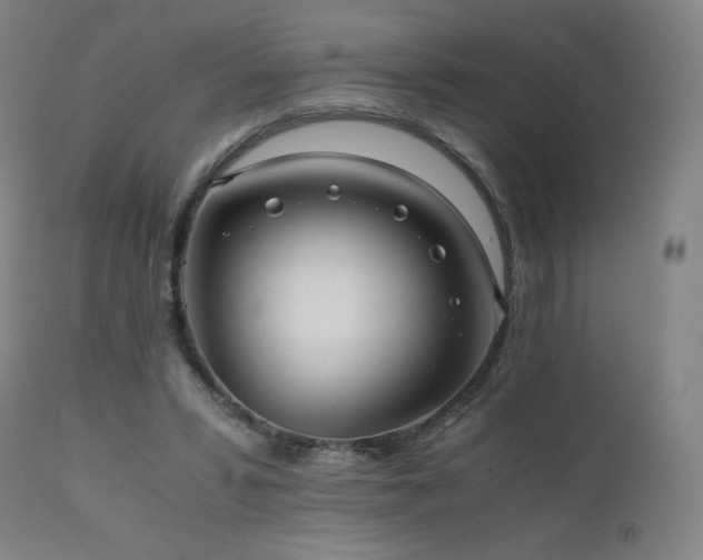 X0000111810399200907231239