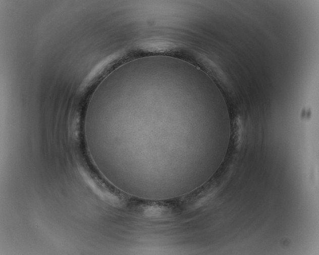 X0000111810400200907231239