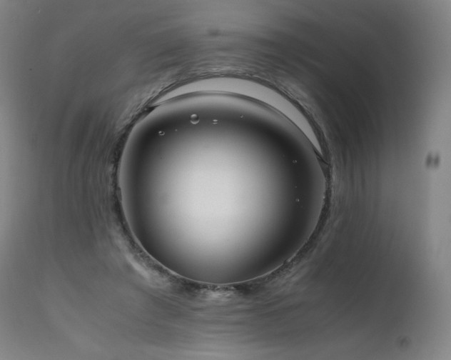 X0000111810401200907231239