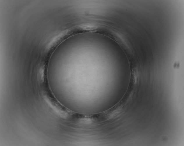 X0000111810404200907231239