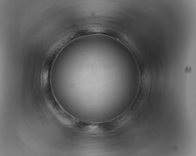 X0000111810406200907231239