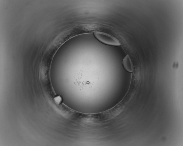 X0000111810408200907231239