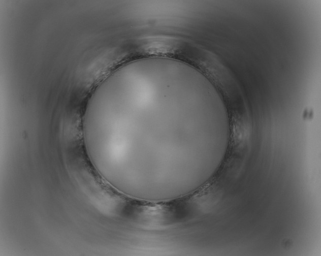 X0000111810411200907231239
