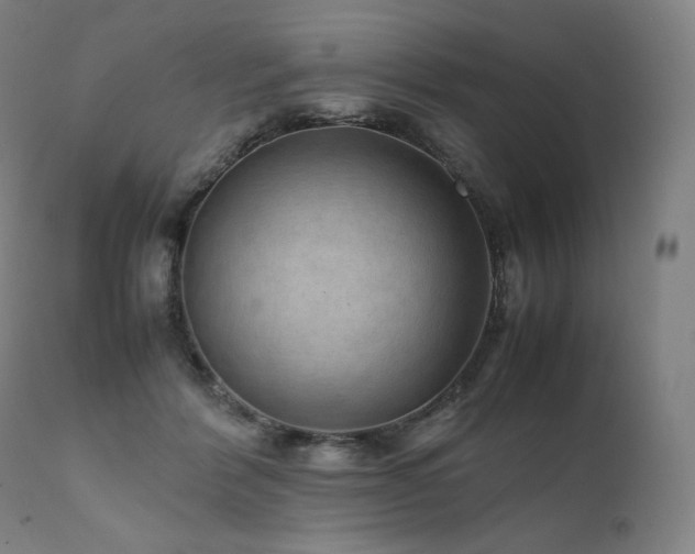 X0000111810412200907231239