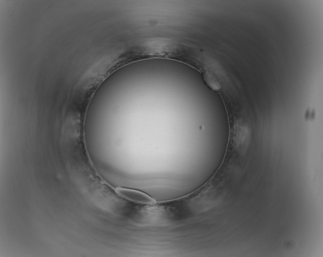 X0000111810413200907231238