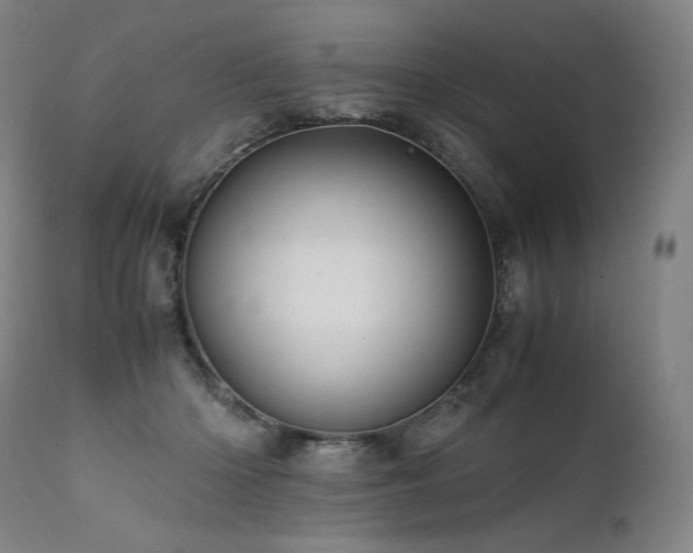 X0000111810414200907231238