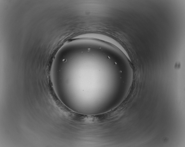 X0000111810415200907231238