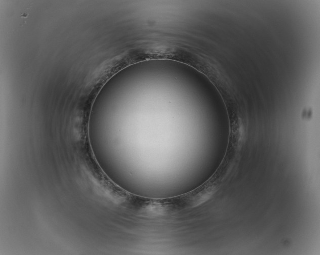 X0000111810416200907231238