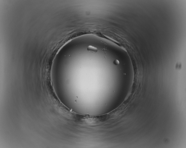 X0000111810417200907231238