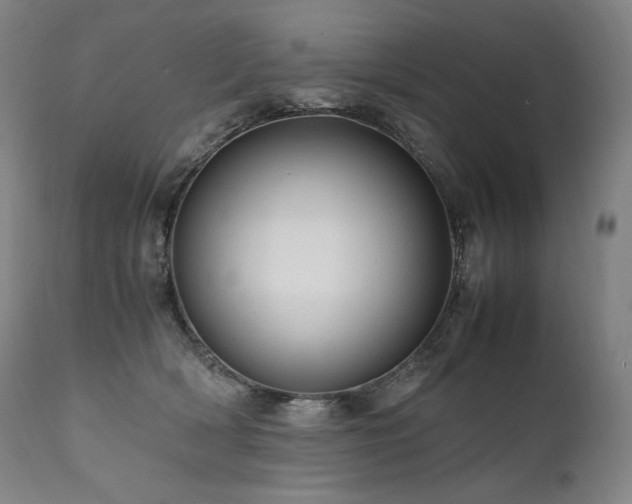 X0000111810418200907231238