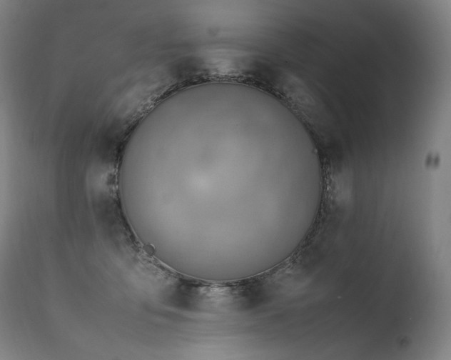 X0000111810419200907231238