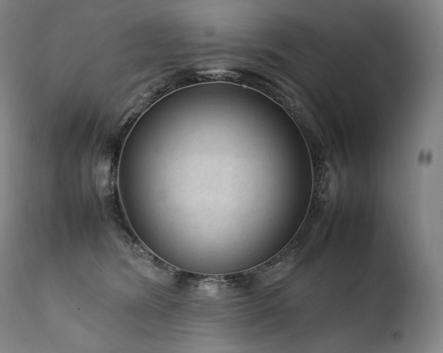 X0000111810420200907231238