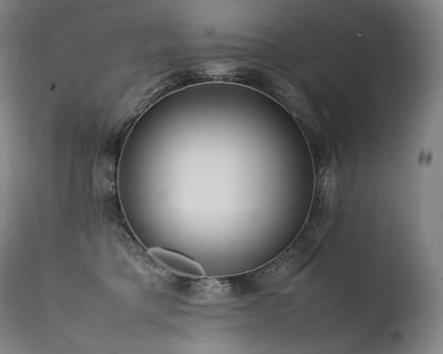 X0000111810421200907231238