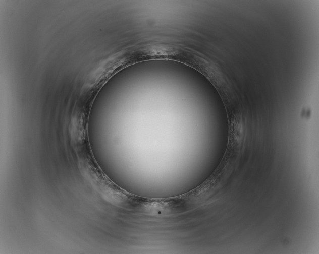 X0000111810422200907231238