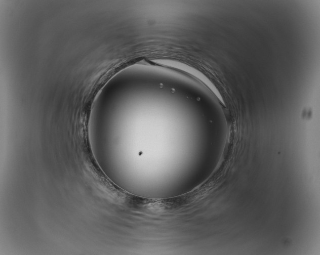 X0000111810423200907231238