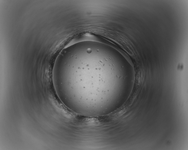 X0000111810424200907231238