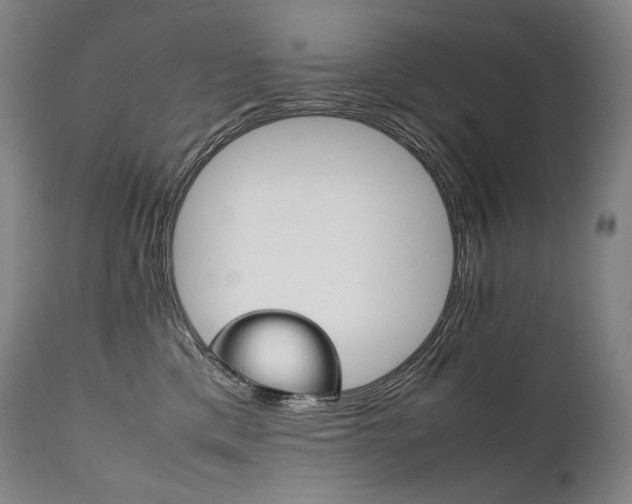 X0000111810425200907231238