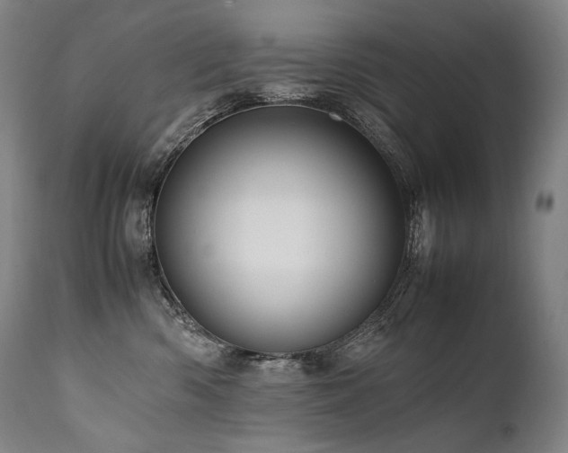 X0000111810426200907231238