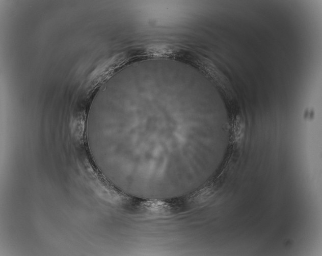 X0000111810427200907231238