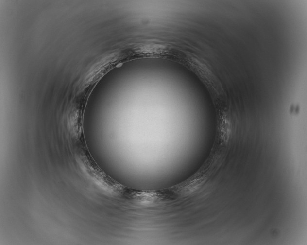 X0000111810428200907231238