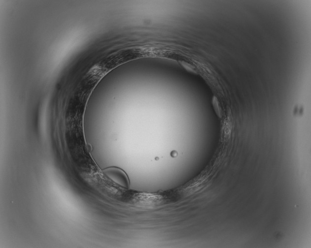 X0000111810429200907231238