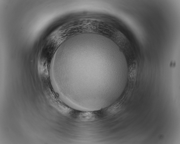 X0000111810431200907231238
