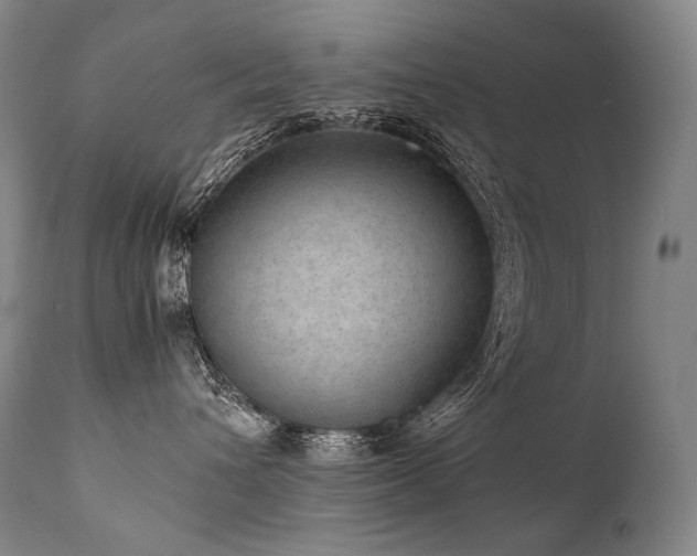 X0000111810432200907231238