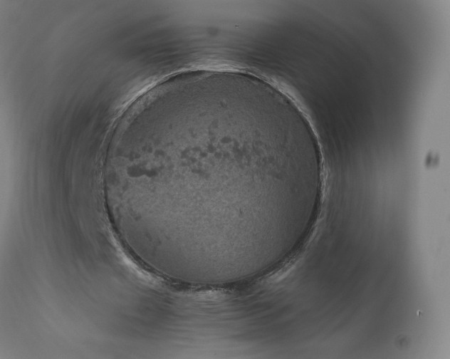 X0000111810433200907231238