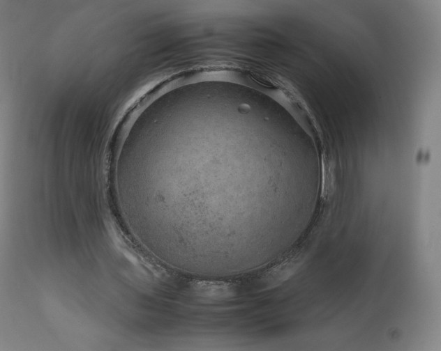 X0000111810435200907231238
