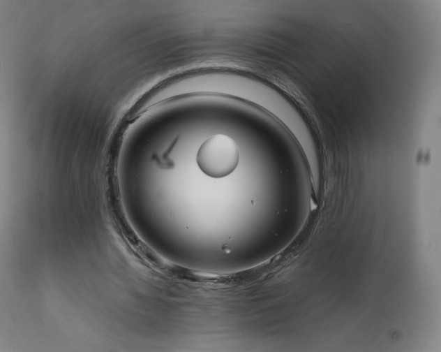 X0000111810436200907231238